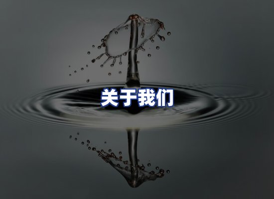专业团队