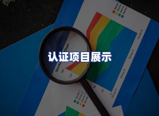 认证项目展示